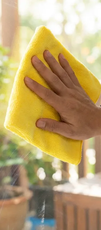 Expert Window Cleaning in Saint Petersburg, FL